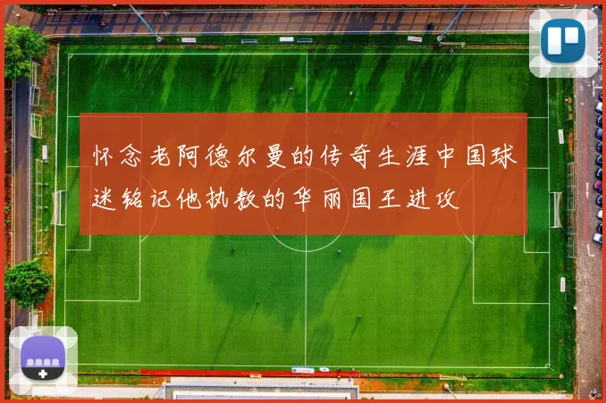怀念老阿德尔曼的传奇生涯中国球迷铭记他执教的华丽国王进攻
